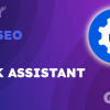 AIOSEO Link Assistant