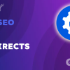 AIOSEO Redirects